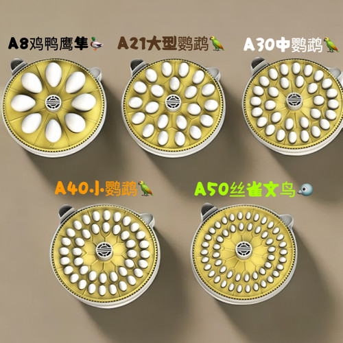 A8 高端 孵化 用品 蛋盘 M8 鹦鹉 科尔鸭