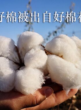 夏被新疆被芯丝路银絮