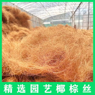 海南岛进口原产花店装园艺椰丝铺面天然椰棕丝纤维铺面椰棕丝盆栽
