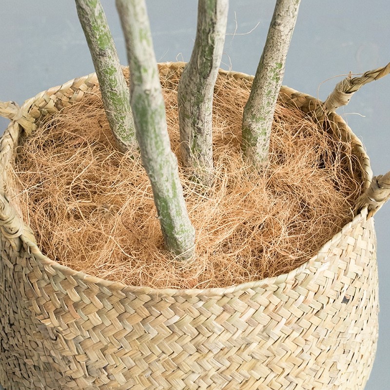 进口椰棕丝铺面 高纯椰丝铺面 花盆装饰覆盖草盆栽植物花卉营养土
