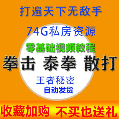 泰拳拳击搏击格斗术散打运动入门教程教学高清训练零基础视频教学