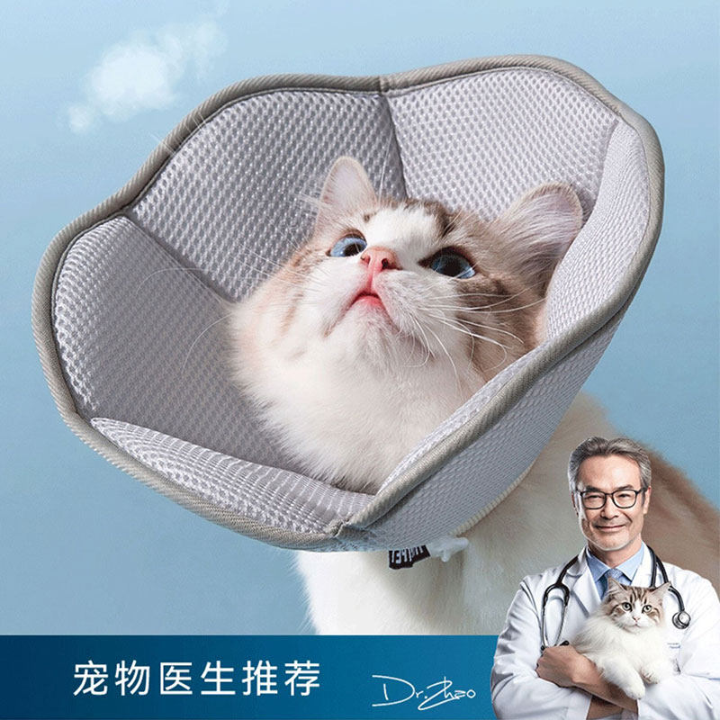 宠物伊丽莎白圈猫咪狗狗绝育皮肤病美容防咬防舔头套耻辱圈项圈,宠物/宠物食品及用品,宠物伊丽莎白圈,淘宝优惠券,粉丝福利购,淘宝优惠卷