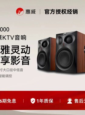 惠威ET1000有源KTV音箱双话筒