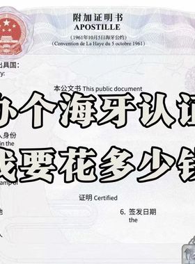 海牙公证海牙外交部翻译出生留学历成绩亲属关系无记录结婚