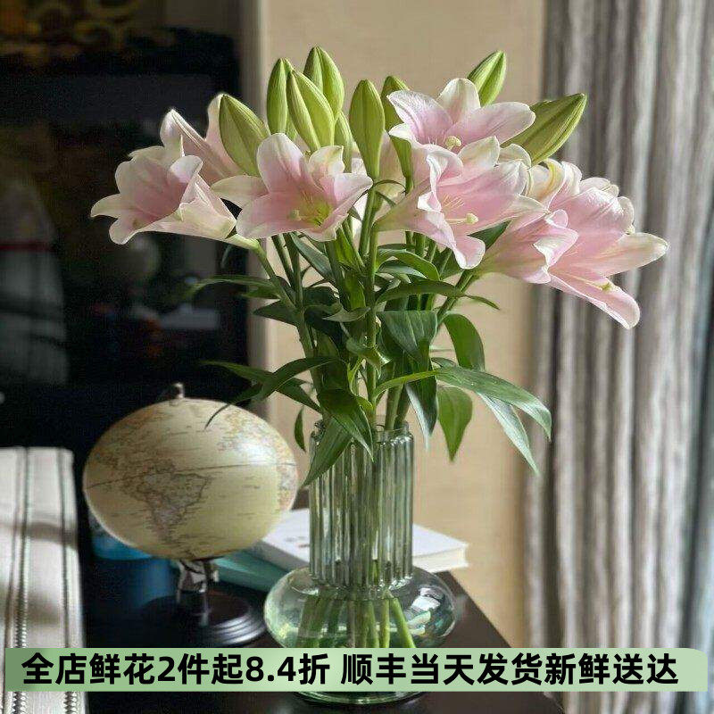铁炮百合鲜切花室内水养简约鲜花