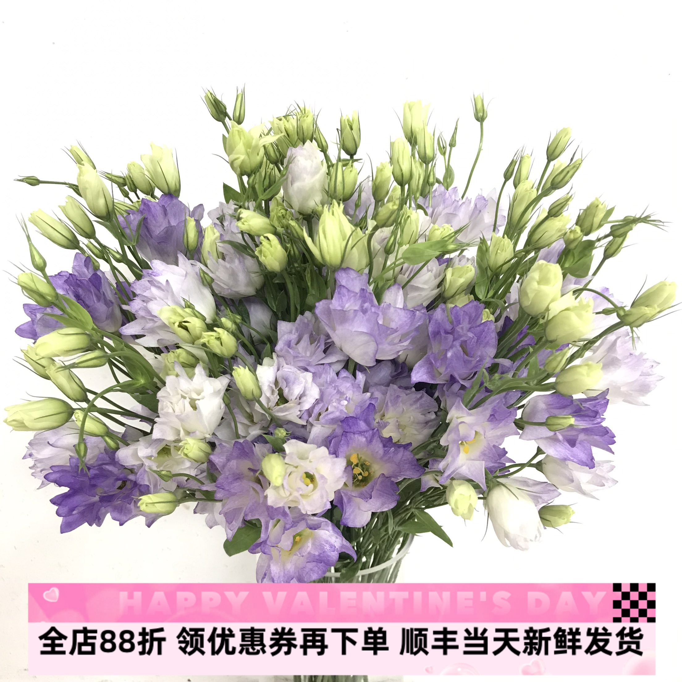 紫微星洋桔梗鲜花高冷渐变紫色尖花瓣龙胆水培鲜切花北京同城速递