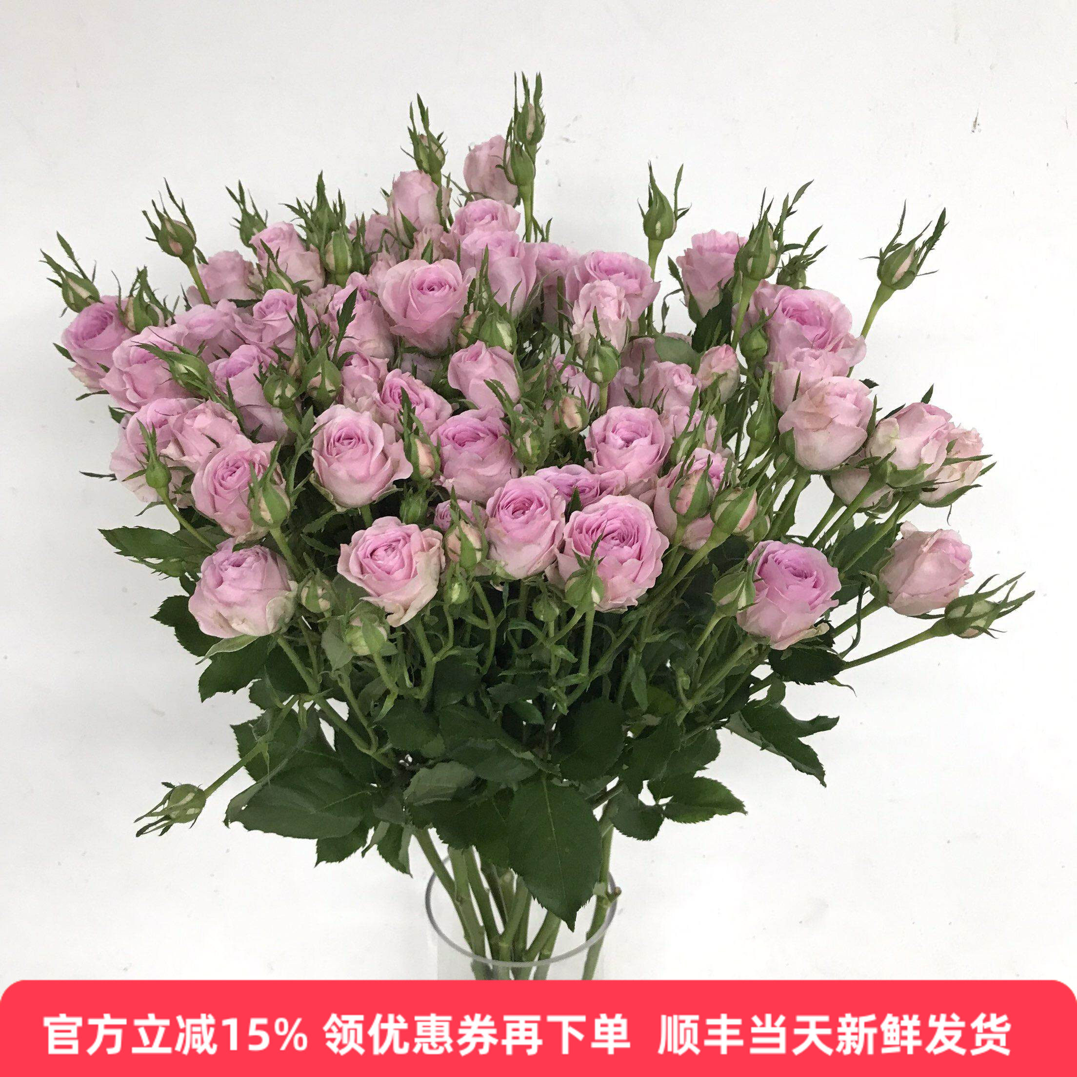 暗恋蔷薇花水培多头玫瑰鲜花同城