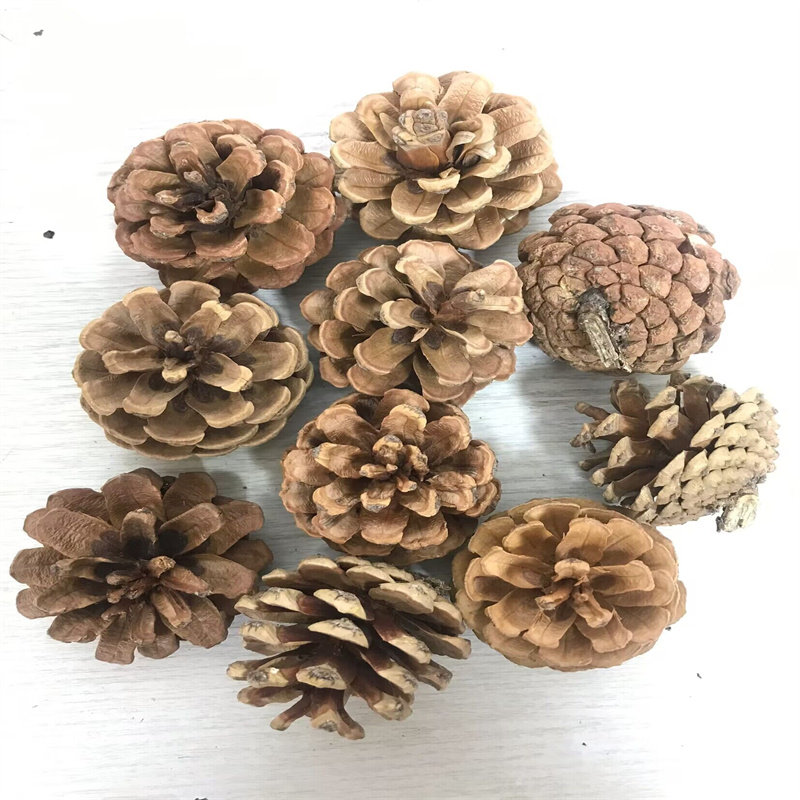 松果圣诞节装饰品松塔干花手工diy 平安夜圣诞树搭配北京鲜花速递