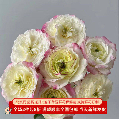 小粉兔玫瑰花调香师初妆水养同城