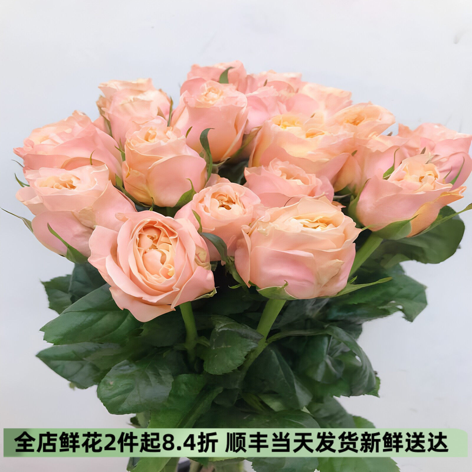 入梦玫瑰19枝北京直发顺丰速递