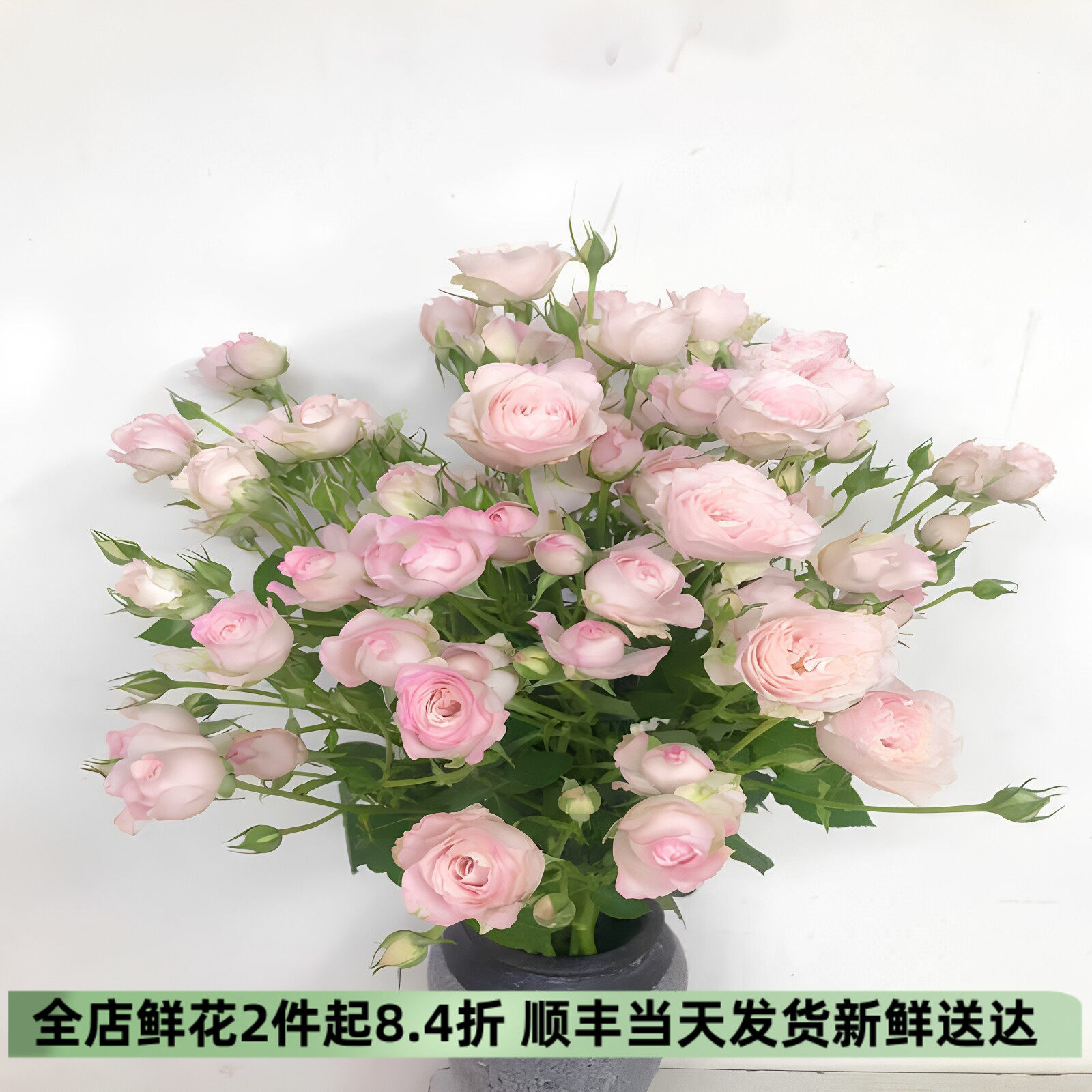 仙子之吻蔷薇玫瑰花束同城速递