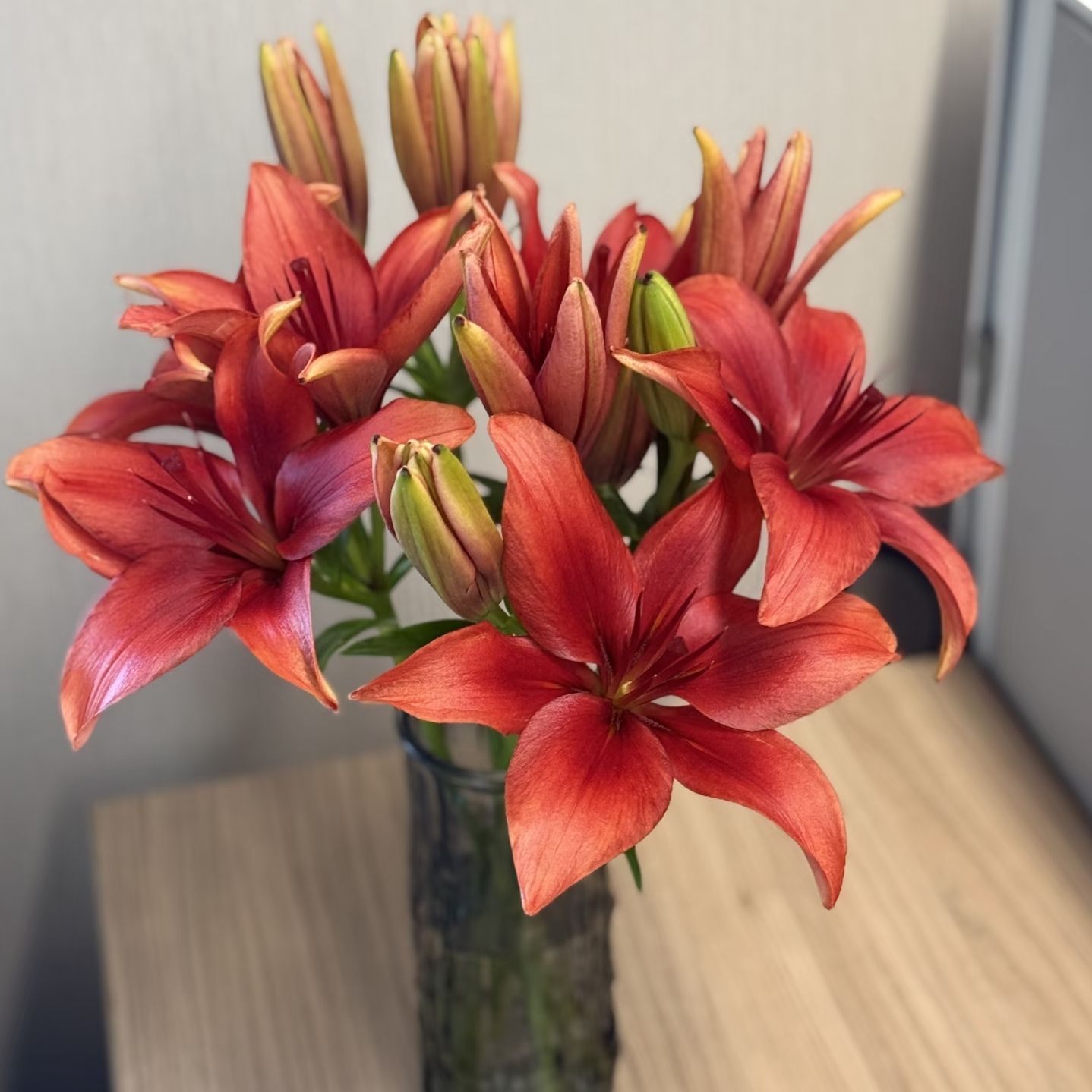 红亚百合红宝石鲜花喜庆爱情家庭