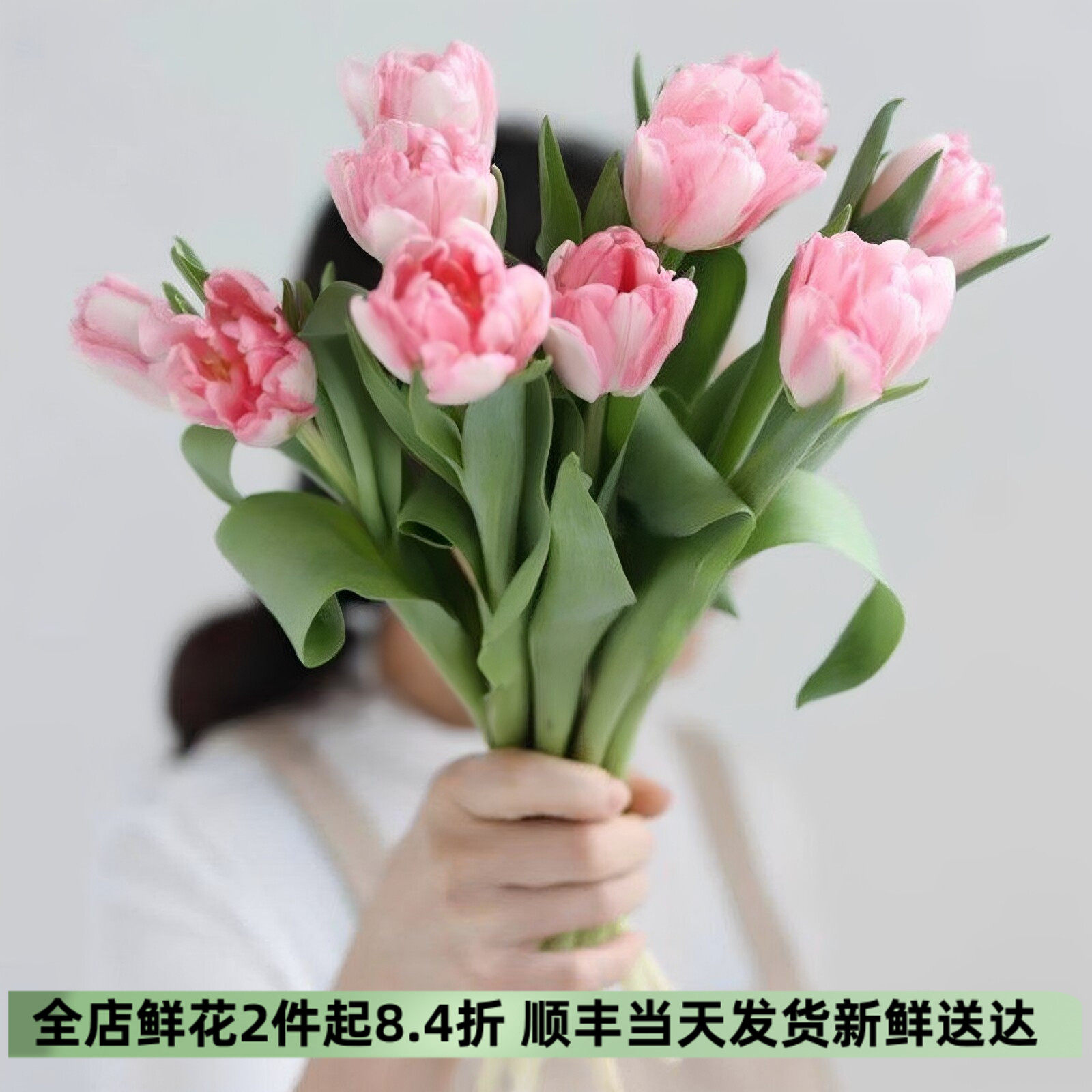 浅粉重瓣郁金香鲜花同城速递