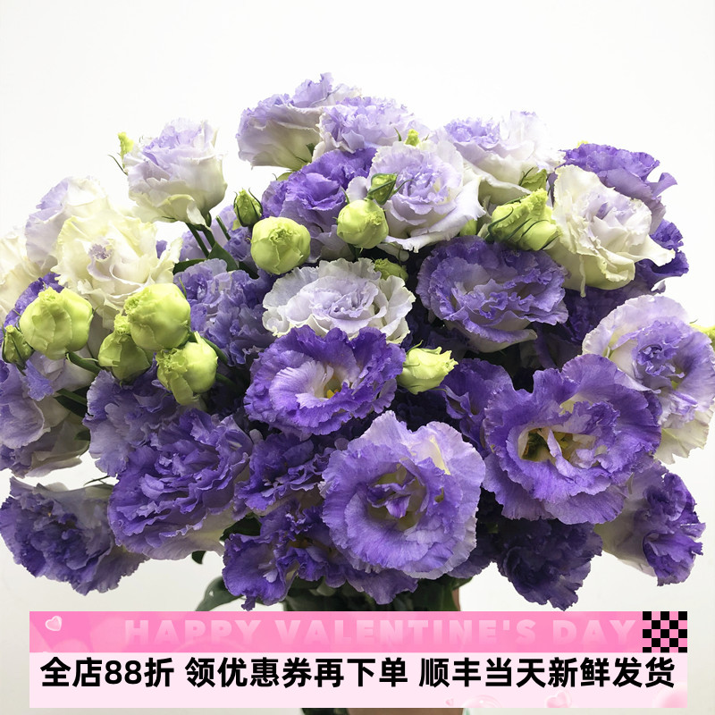 烟紫色龙胆洋桔梗鲜花 高端国产A级品质水培花艺插花生日礼物速递