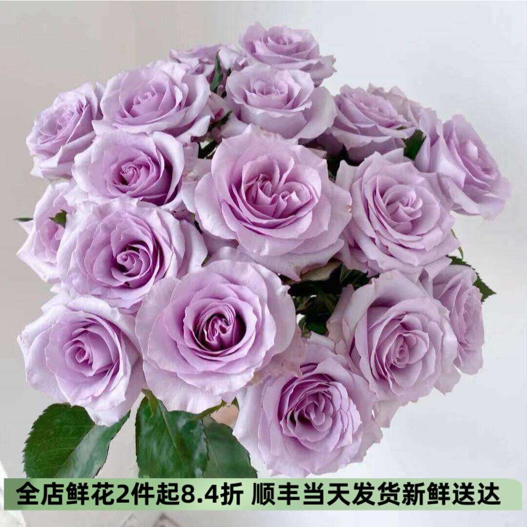 海洋之歌玫瑰冷色系插花七夕鲜花