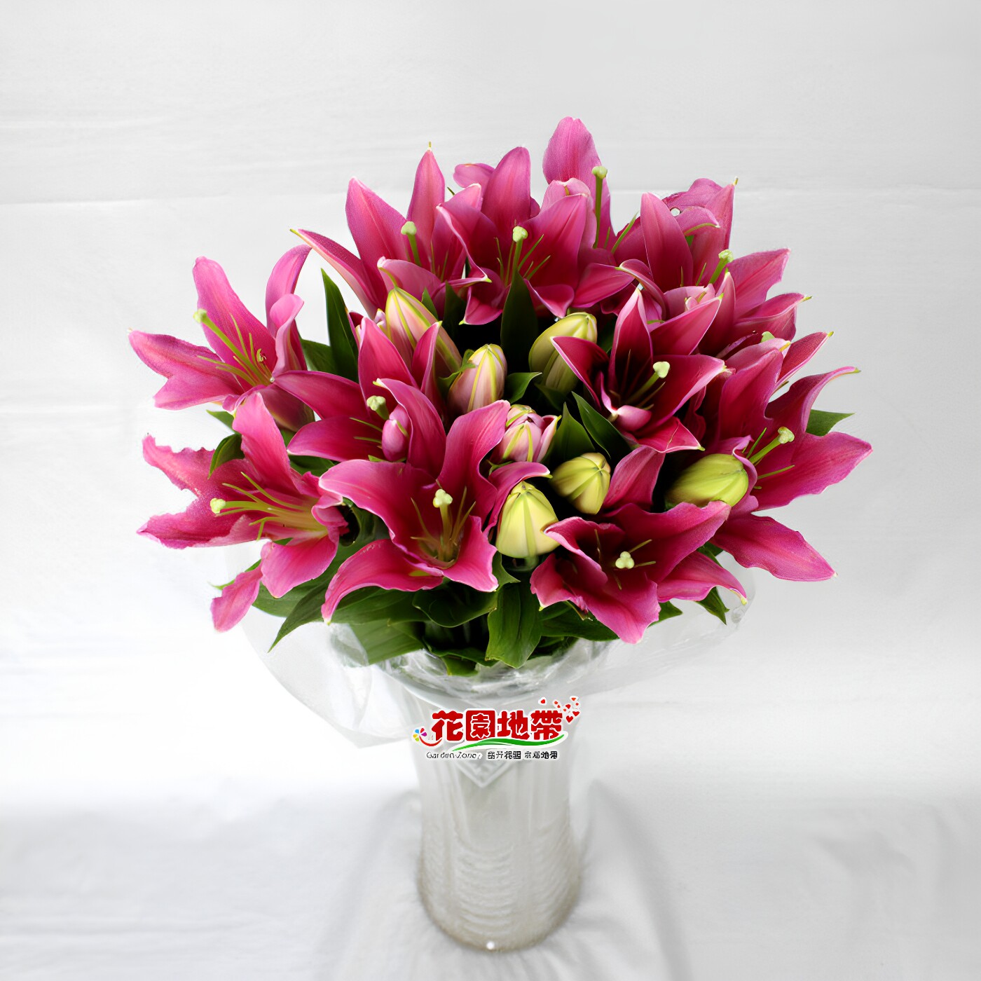 西诺红百合鲜切花北京直发水培