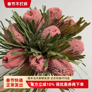 班克木佛塔花长期南非进口干花永生花插花家装饰北京同城鲜花速递