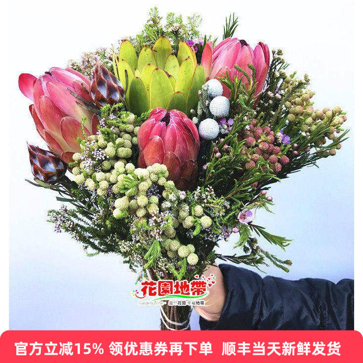 南非公主帝王花束多款随机风干