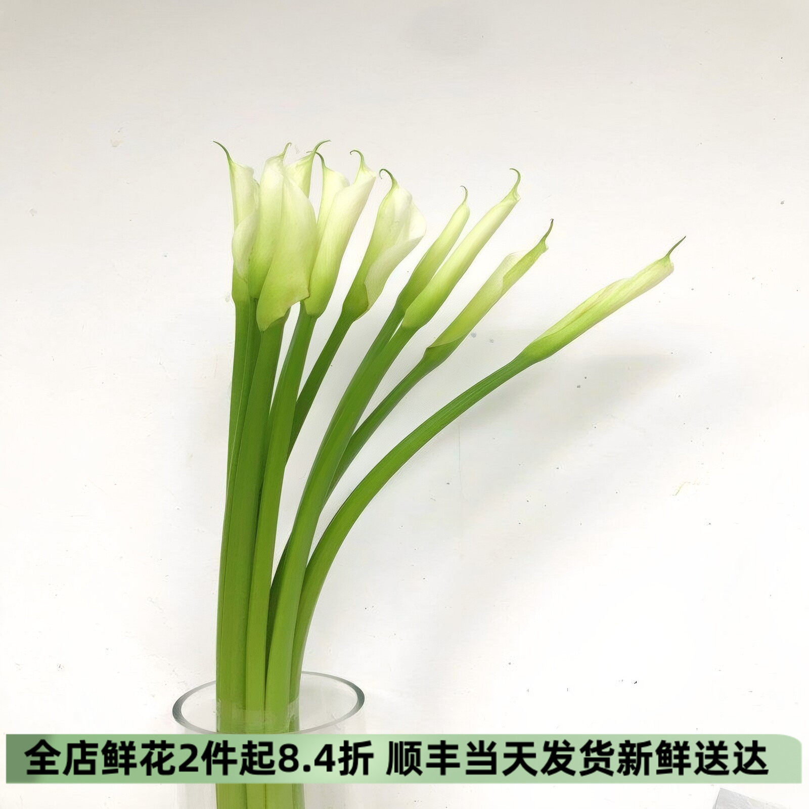 马蹄莲鲜花水养插花花艺新娘手捧
