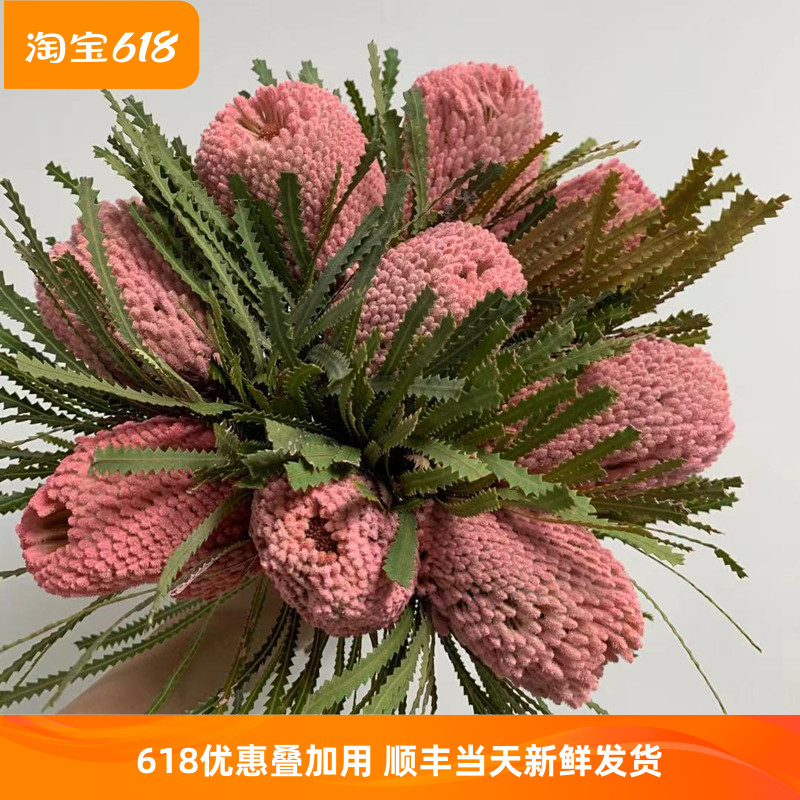 班克木 佛塔 南非进口干花永生花 长期插花装饰 散花DIY 鲜花速递