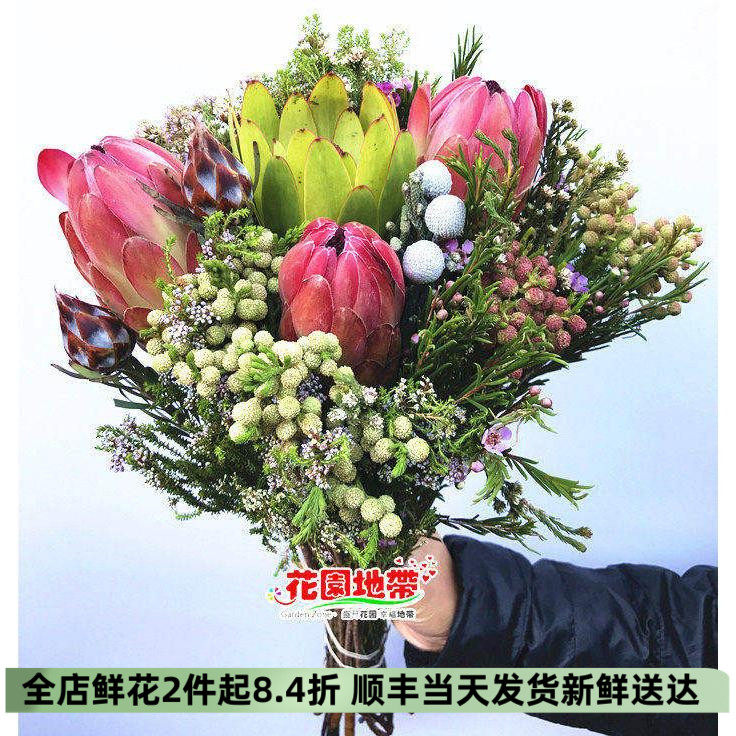 南非公主帝王花束多款随机风干