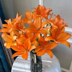 橙色梦想多头亚百合花水培室内插花瓶暖桔色生活鲜花同城顺丰空运