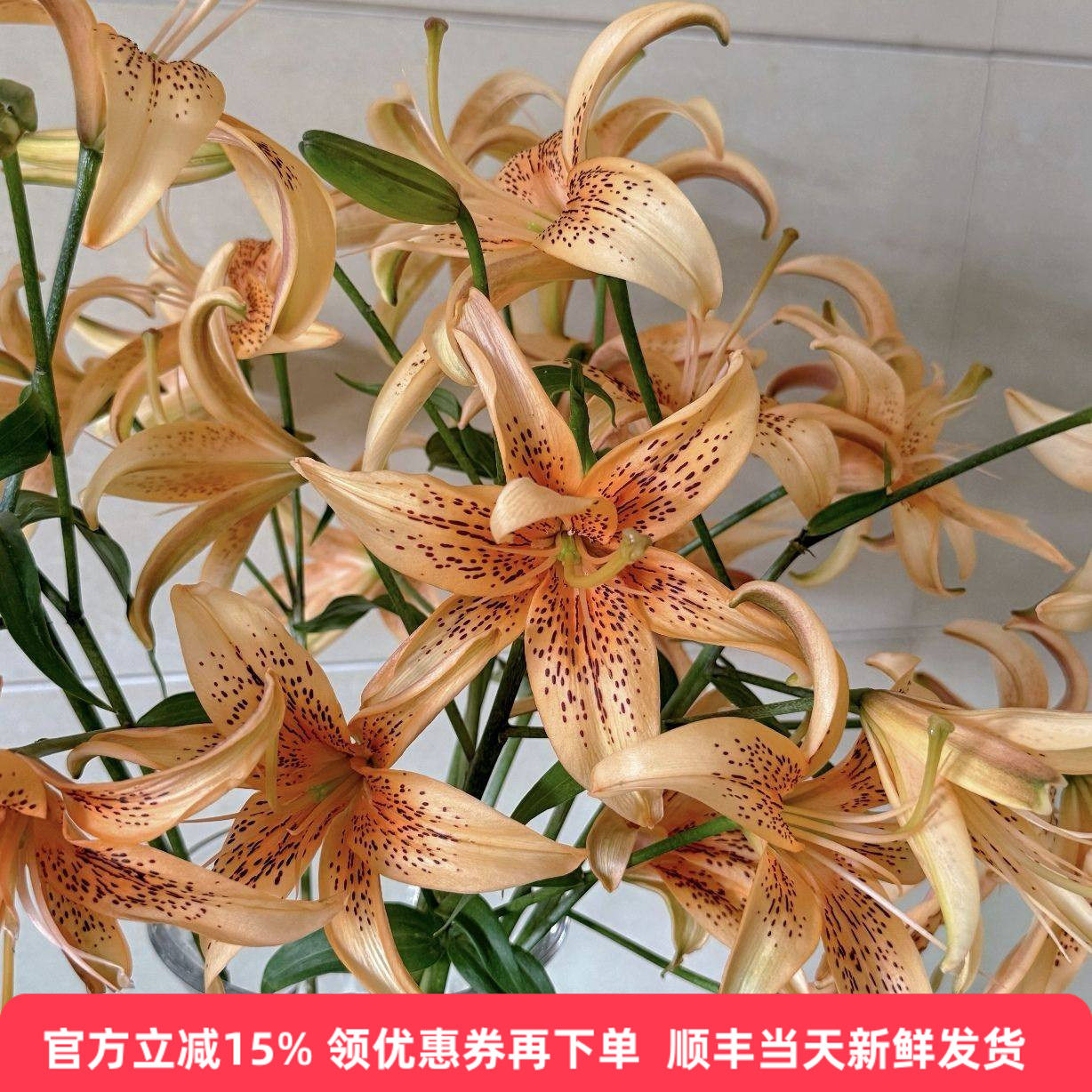 小爱同学亚百合无香多头水培同城