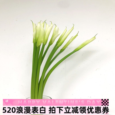 马蹄莲鲜花水养插花花艺新娘手捧