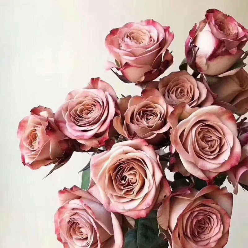 网红咖啡色玫瑰 卡布奇诺10朵 流行款爱情表白生日礼物 同城速递