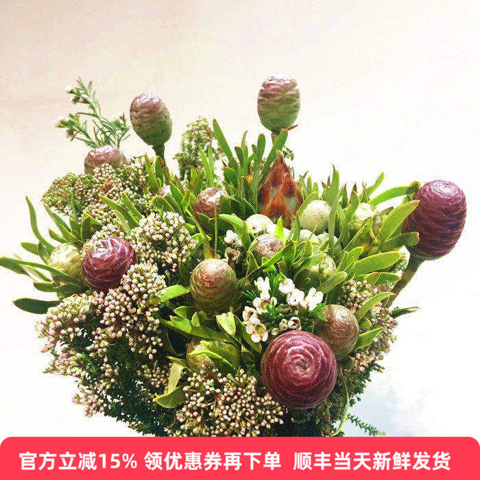 南非花束木果木球随机混搭可风