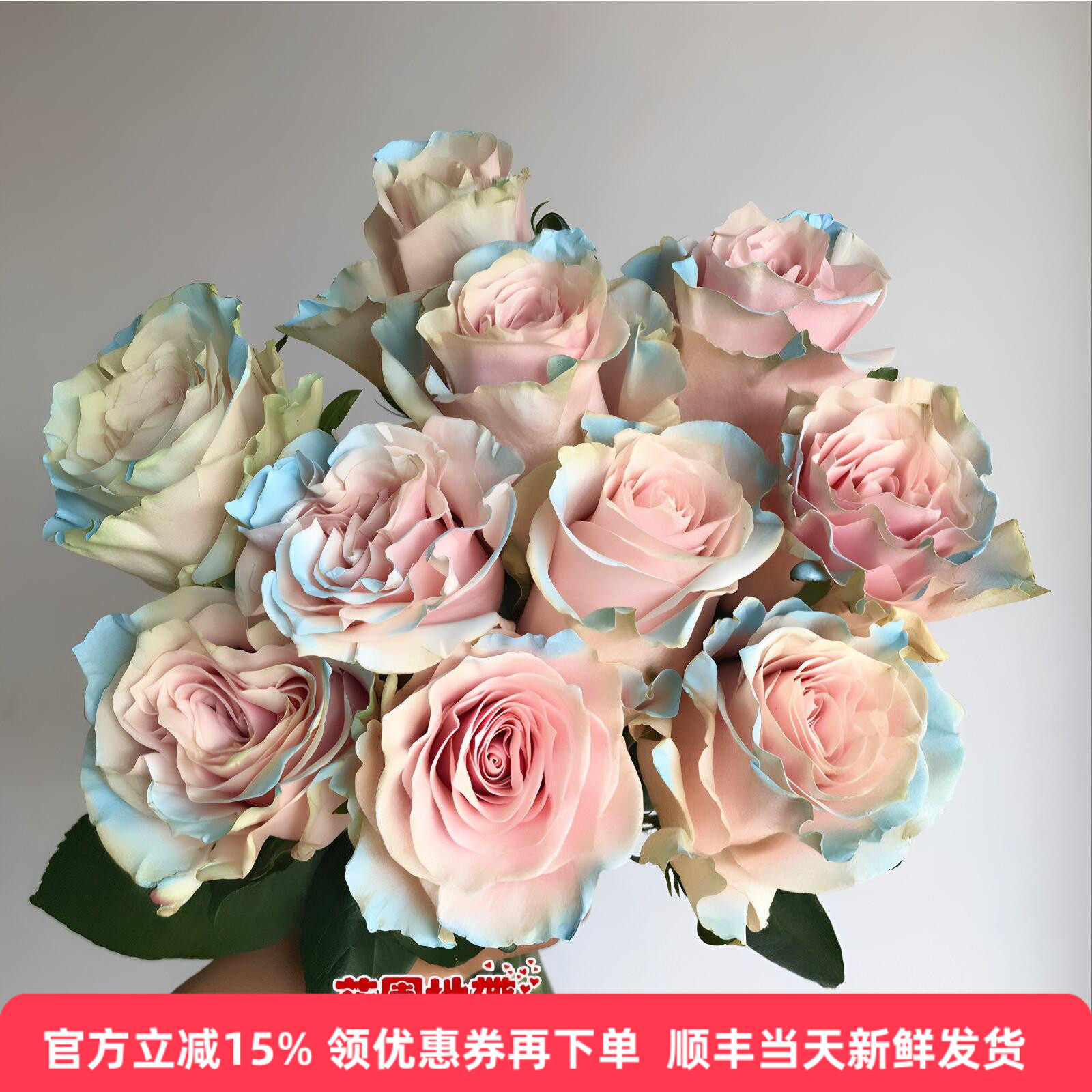 进口玫瑰染色伊莎贝尔10朵速递