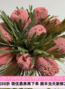 班克木 佛塔 南非进口干花永生花 长期插花装饰 散花DIY 鲜花速递