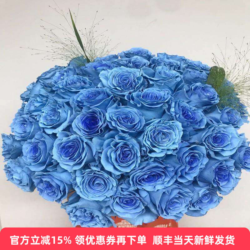 厄瓜多尔玫瑰冰雪公主10枝同城