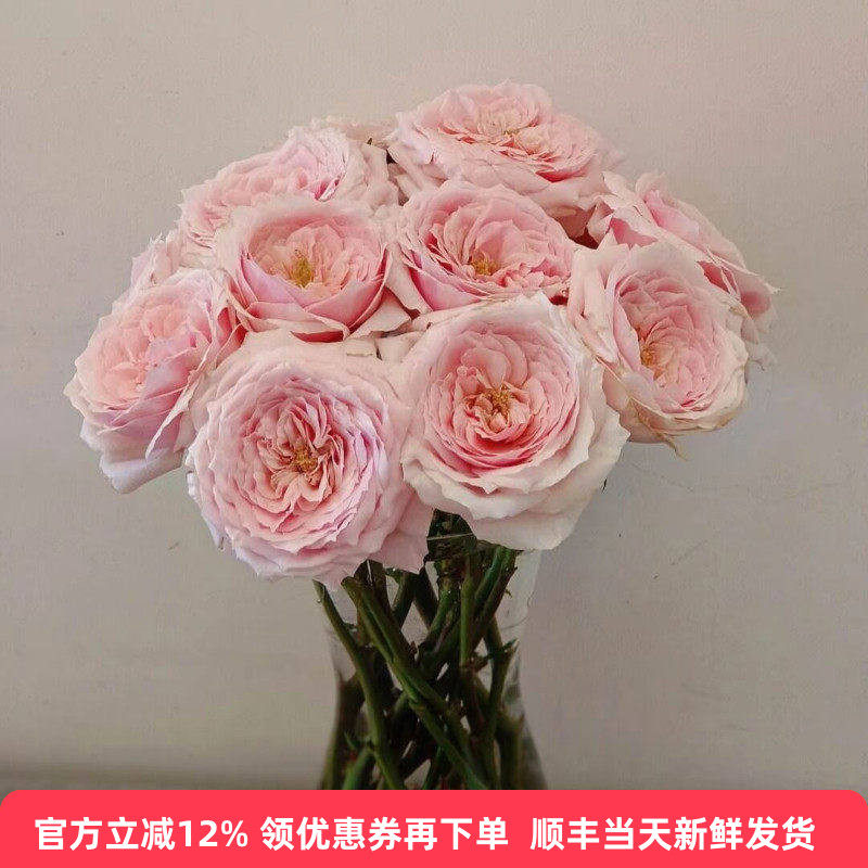 小粉兔玫瑰花婚庆手捧花鲜切花情人节鲜花家庭瓶插花北京同城速递