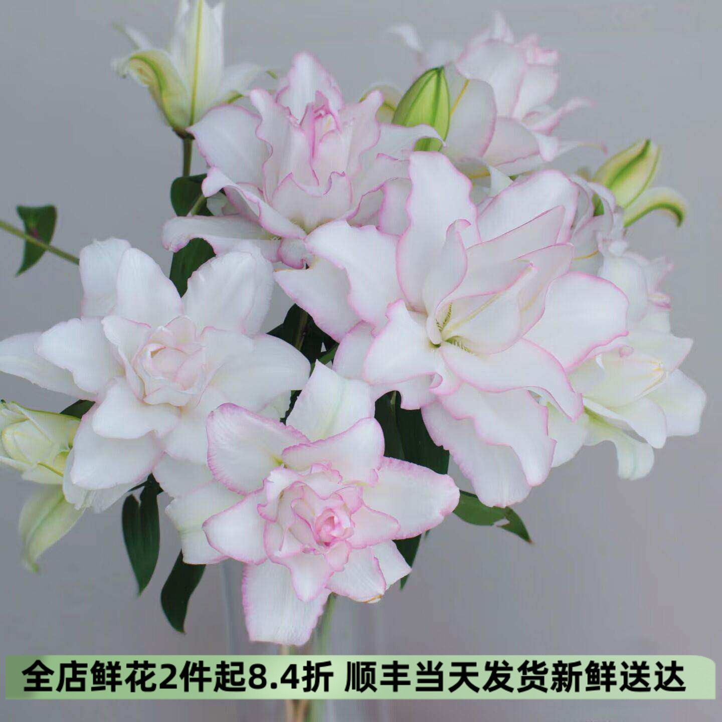 冰美人香水百合多头重瓣鲜切花