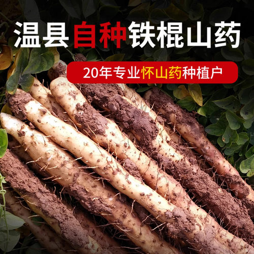 正宗垆土铁棍山药河南焦作温县特产铁杆山药产地直发新鲜5斤整箱