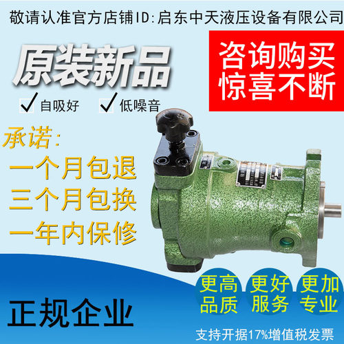 轴向柱塞泵启东中天液压