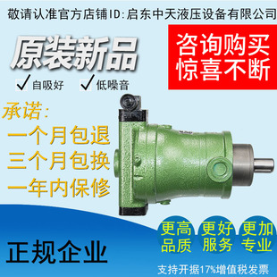 63PCY 40PCY 25PCY 1B轴向柱塞油泵 160PCY 250PCY14 80PCY 10PCY