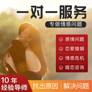 情感咨询 婚姻家庭修复恋爱指导感情分析分手疏导顾问书籍