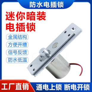 迷你门禁小型电插锁低温室外防水电磁锁玻璃门锁木门锁嵌入式 门禁