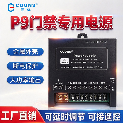 P9门禁电源控制器可调节延时