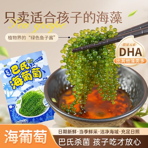 巴氏盐渍海葡萄富含膳食纤维/0糖