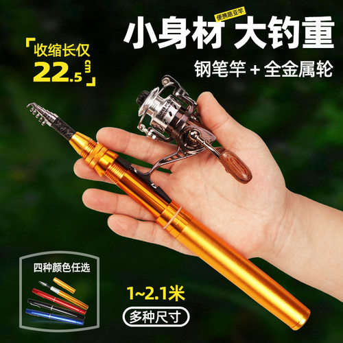 钢笔鱼竿手杆筏钓迷你路亚小海竿