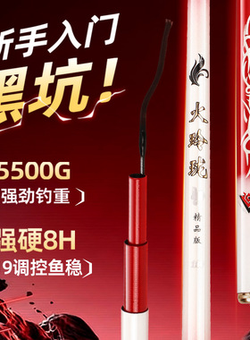正品8H19调碳素大物黑坑钓鱼竿手杆超轻硬鲤鲫鱼竿台钓竿大棚杆