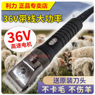 利力带线宠物电推剪36V大功率剃羊毛推子绒山羊狗狗剃毛器大型犬