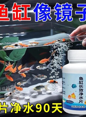 鱼缸净水片澄清澈净化水质除臭去腥鱼缸水族箱鱼池清水养鱼净水剂