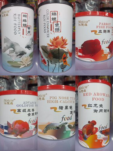 沐德森锦鲤金鱼鹦鹉鱼罗汉猪鼻龟底栖七彩神仙蝴蝶鲤金龙红龙鱼粮