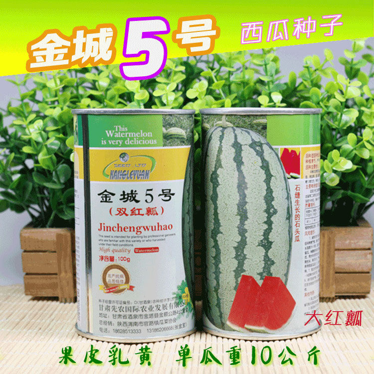 金城5号西瓜种子特大压砂瓜种子石缝瓜品种红瓤皮薄耐裂原装100克