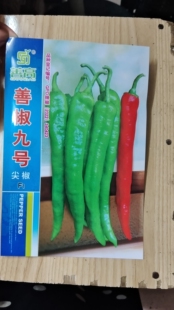 善辣九号辣椒种子高产抗病早熟杂交牛角尖椒种籽皮薄辣味浓口感好