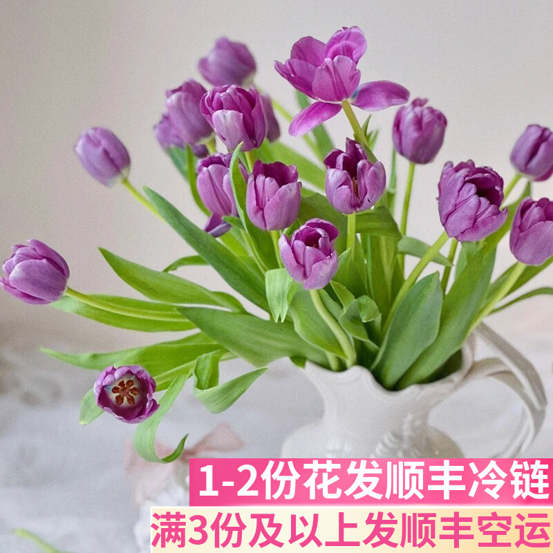 郁金香鲜花鲜切花办公室插花
